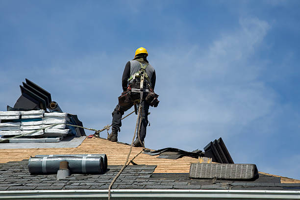 Professional Roof Replacement technician working in Emington, IL